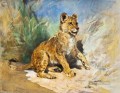 A Lion Cub Heywood Hardy